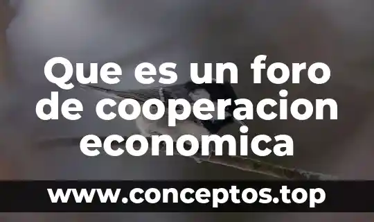 Que es un foro de cooperacion economica
