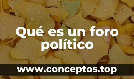 Qué es un foro político