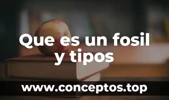 Que es ciencia que tipos de conocimientos existen 5 Que es un fosil y tipos