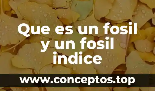 Que es un fosil y un fosil indice