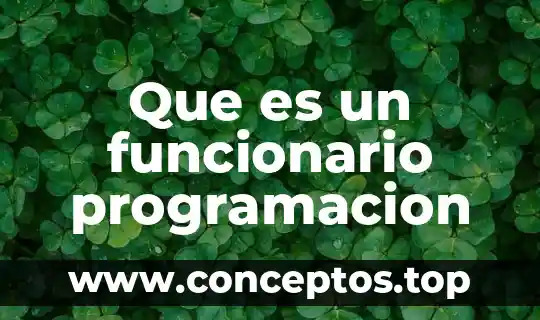 Que es un funcionario programacion