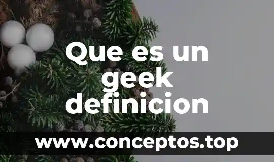 Que es un geek definicion