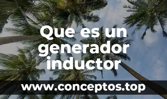 Que es un generador inductor