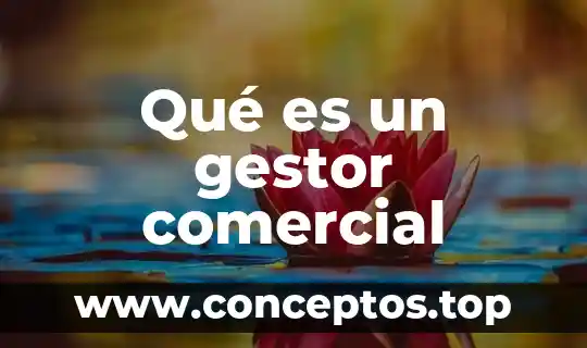 Qué es un gestor comercial