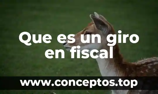 Que es un giro en fiscal