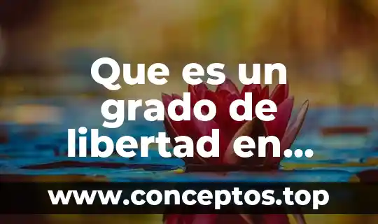 Que es un grado de libertad en estructuras