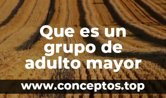 Que es un grupo de adulto mayor