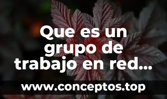 Que es un grupo de trabajo en red lan