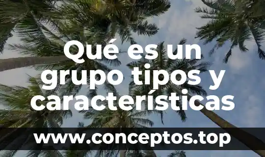 Qué es un grupo tipos y características