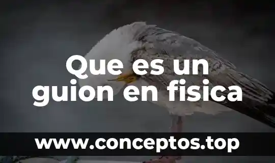 Que es un guion en fisica