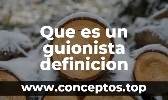 Que es un guionista definicion