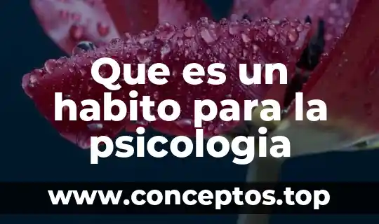 Que es un hábito y estilo de vida saludable 6 Que es un habito para la psicologia