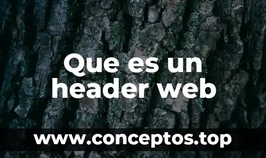 Que es un header web