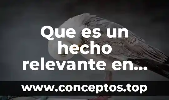 Que es un hecho relevante en derecho