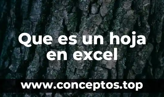 Que es un hoja en excel