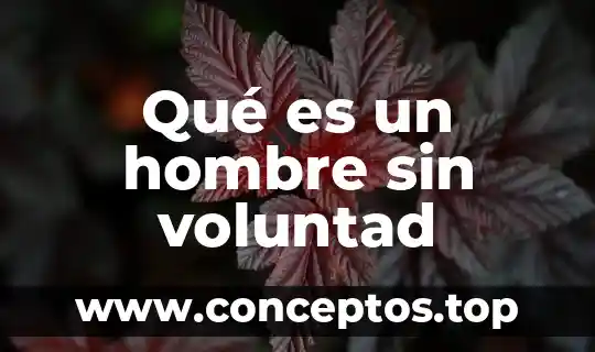 Qué es un hombre sin voluntad