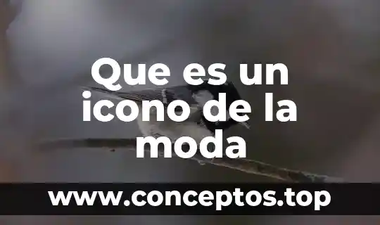 Que es un icono de la moda