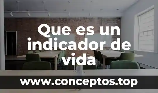Que es un indicador de vida