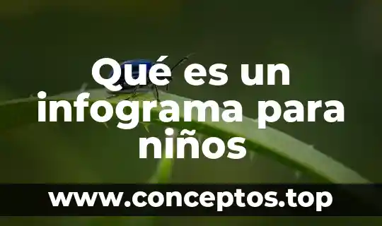 Qué es un infograma para niños