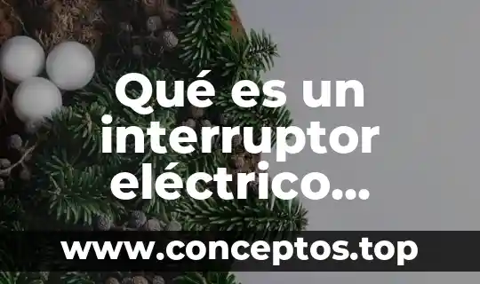 Qué es un interruptor eléctrico sencillo