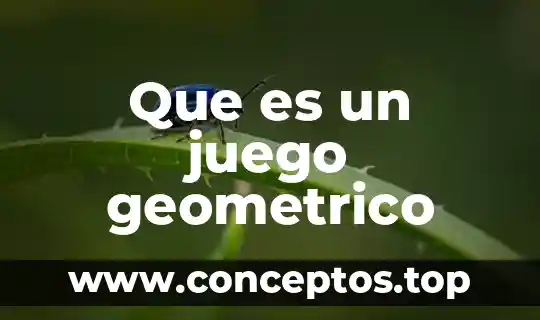 Qué es una línea y el nombre de cada cuerpo geométrico 6 Que es un juego geometrico