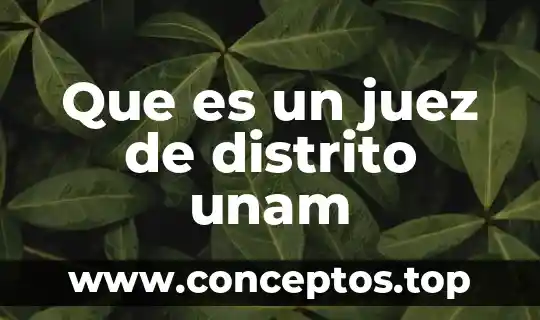Que es un juez de distrito unam