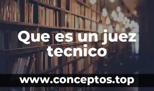 Que es un juez tecnico