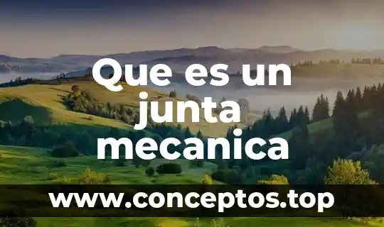 Que es un junta mecanica