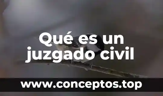 Qué es un juzgado civil