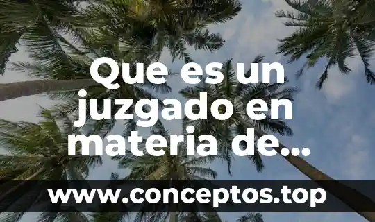 Que es un juzgado en materia de extinción de dominio