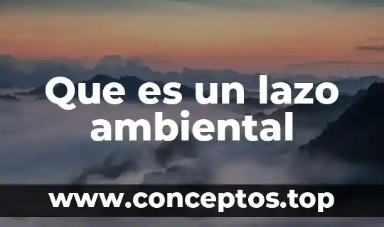 Que es el sistema de lazo mixto o combinado 5 Que es un lazo ambiental