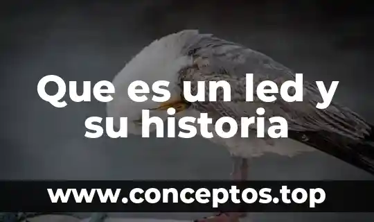 Que es historia significado 7 Que es un led y su historia