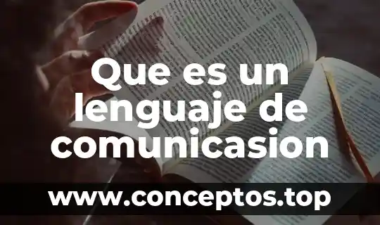 Que es un lenguaje de comunicasion