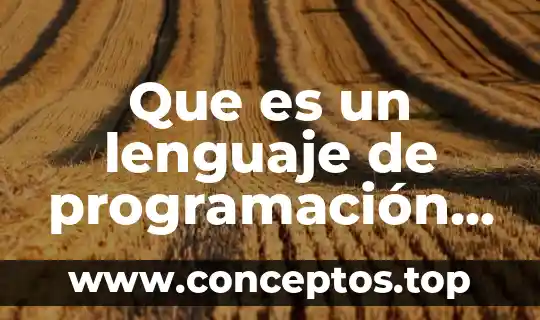 Que es un lenguaje de programación y que tipos existen