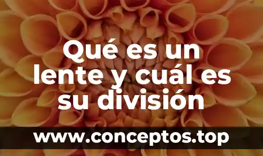 Qué es un lente y cuál es su división