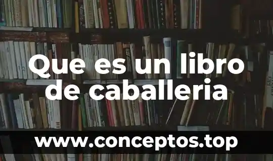 Que es un libro de caballeria