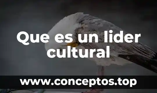 Que es el examen cultural del colegio militar 3 Que es un lider cultural
