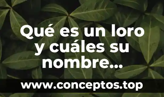 Qué es el método científico sus etapas 8 Qué es un loro y cuáles su nombre científico