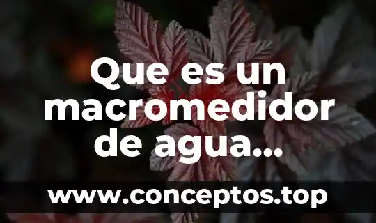Que es la decantacion del agua potable 4 Que es un macromedidor de agua potable