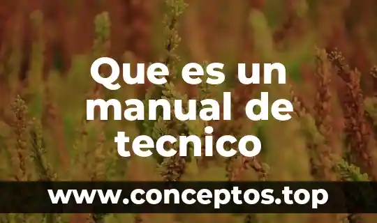 Que es un glioma tecnico 3 Que es un manual de tecnico