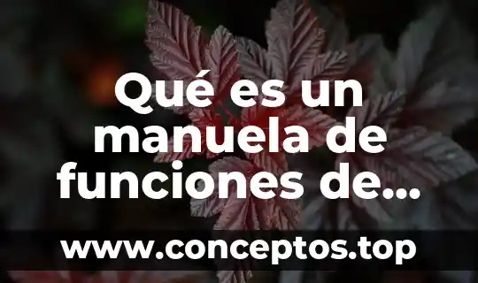Qué es la filosofía de la escuela 8 Qué es un manuela de funciones de una escuela