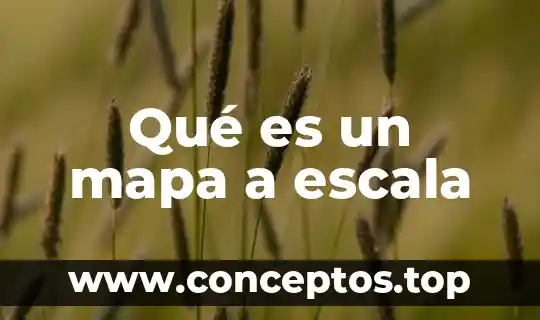 Qué es un mapa a escala