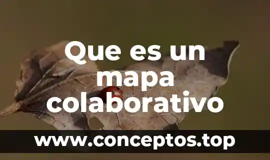 Que es un mapa colaborativo