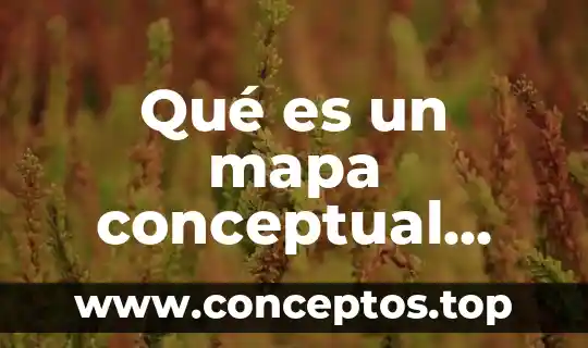 Mapa conceptual que es la bioética 6 Qué es un mapa conceptual argumentado
