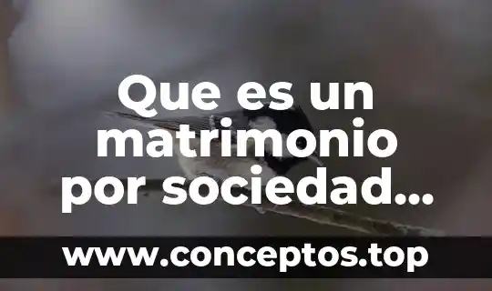 Que es una sociedad con clausula de exclusion de extranjeros 3 Que es un matrimonio por sociedad conyugal