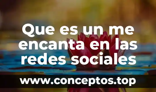 Qué es un nombre del ámbito en redes 3 Que es un me encanta en las redes sociales