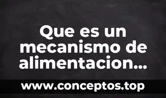 Que es un mecanismo de alimentacion en tejido de punto
