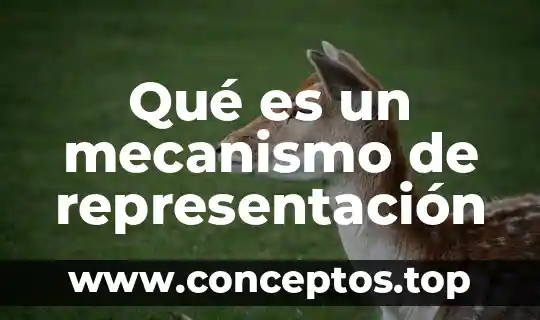 Qué es un mecanismo de representación