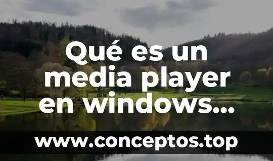 Que es cantinflear significado 3 Qué es un media player en windows form