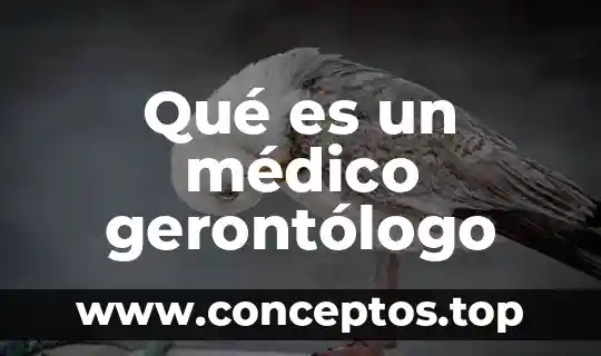 Qué es un médico gerontólogo